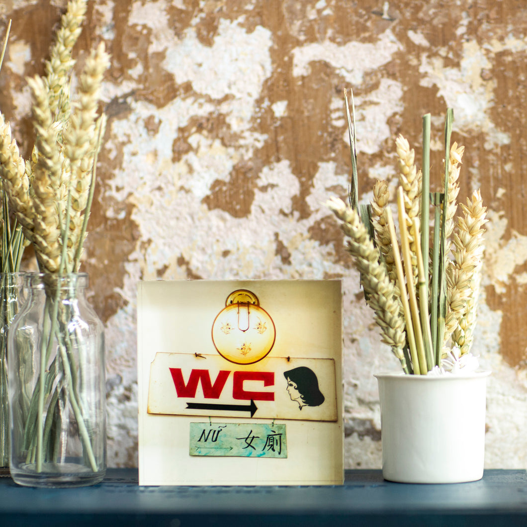 Bloc Plexi 10x10 cm - WC VIETNAM