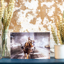 Charger l&#39;image dans la galerie, Bloc Plexi 10x15 cm - CHEVAL SOUS LA NEIGE
