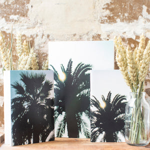 Carnets - PALMIERS - 2 formats