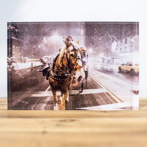 Bloc Plexi 10x15 cm - CHEVAL SOUS LA NEIGE