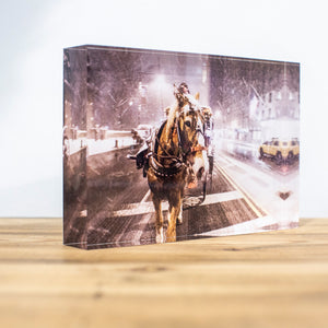 Bloc Plexi 10x15 cm - CHEVAL SOUS LA NEIGE