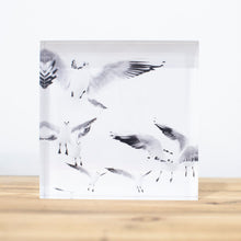 Charger l&#39;image dans la galerie, Bloc Plexi 10x10 cm - MOUETTES PARIS
