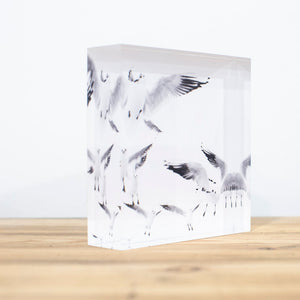 Bloc Plexi 10x10 cm - MOUETTES PARIS