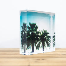 Charger l&#39;image dans la galerie, Bloc Plexi 10x10 cm - PALMIERS
